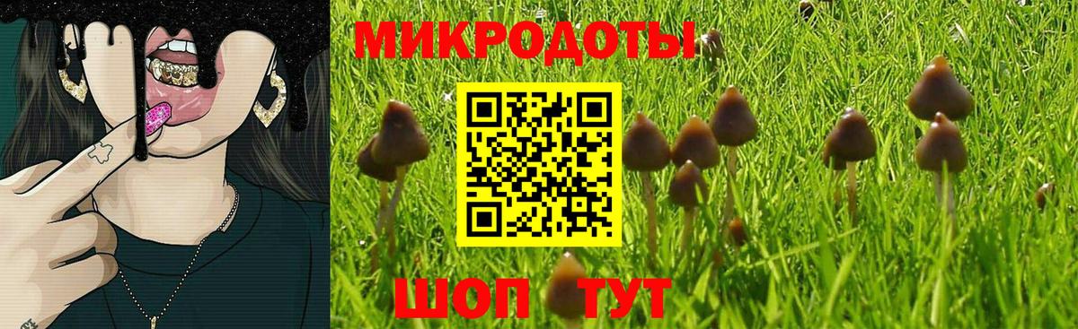 Воткинск  купить наркоту  Вход с VPN  Псилоцибиновые грибы мицелий 