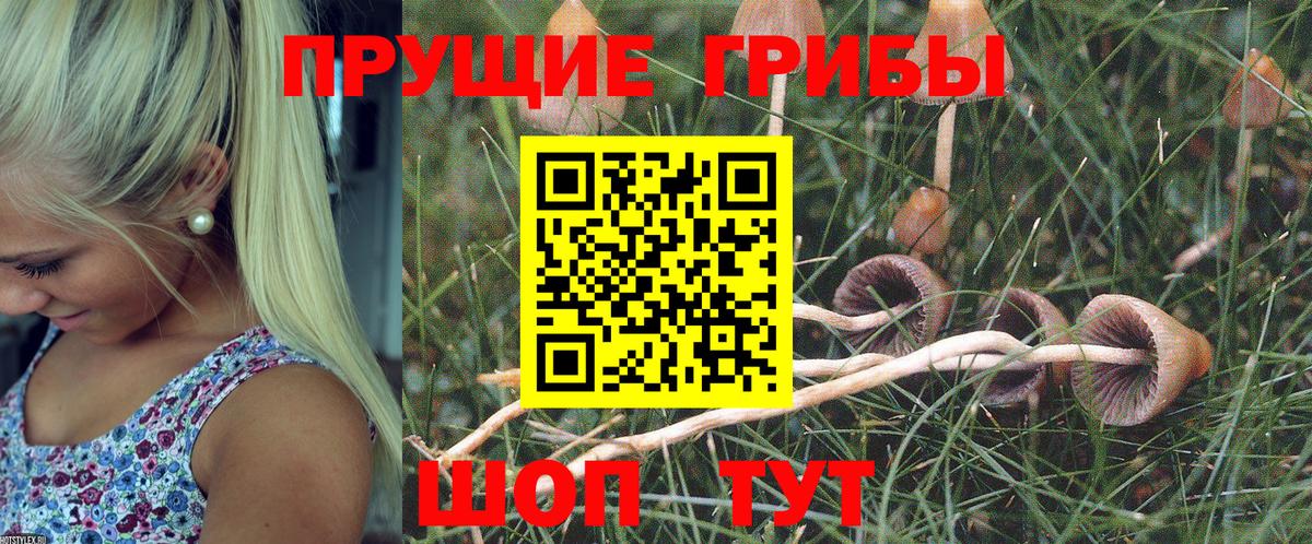 Псилоцибиновые грибы MAGIC MUSHROOMS Воткинск